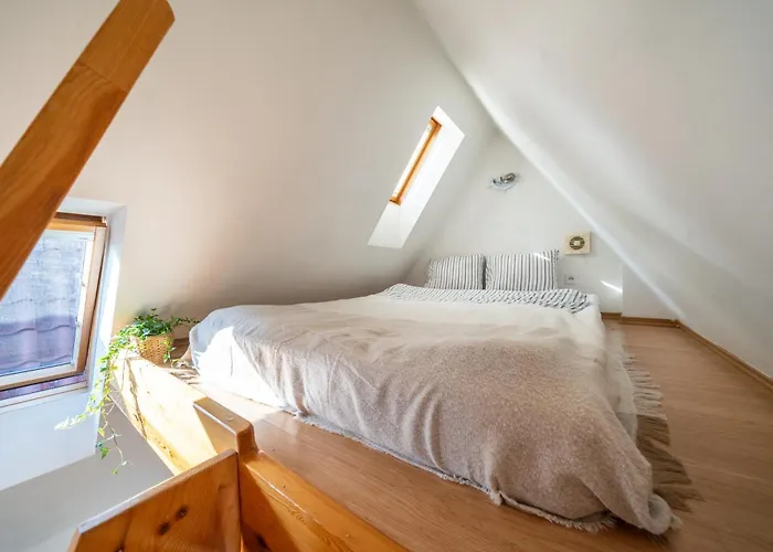 Szeroka W Sercu Starego Miasta * Γκντανσκ